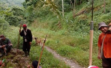 Murang, Tradisi Maskulin di Bulukumba untuk Menjaga Tanaman