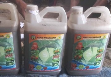Petani di Desa Penyangga TN Kelimutu Kembangkan Pupuk Organik dari Gulma Hutan