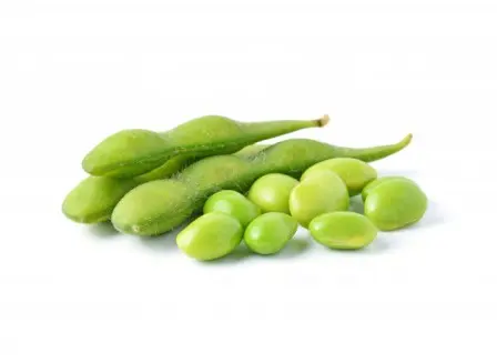 Edamame dan Ingatan akan Masakan Ibu