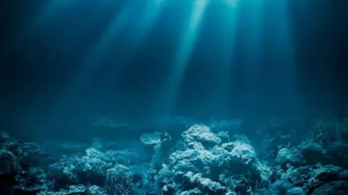 Eksplorasi Gunung Laut Sulawesi, OceanX dan BRIN  Kolaborasi Ekspedisi Laut Dalam