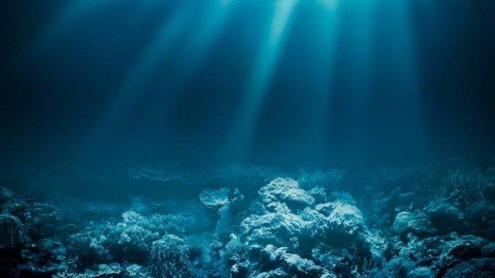Eksplorasi Gunung Laut Sulawesi, OceanX dan BRIN  Kolaborasi Ekspedisi Laut Dalam