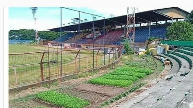 Sedang Nganggur, Kandang PSM Makassar Jadi  Kebun Sayur