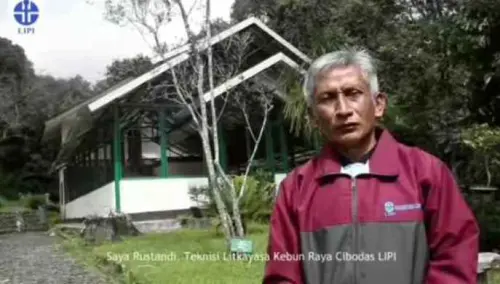 Menengok 37 Tahun Kesetiaan Rustandi Menjaga Flora Indonesia