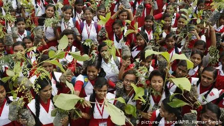 Mengintip Upaya 12 Negara Ini Kembalikan Hijaunya Hutan yang Hilang