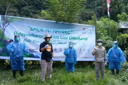Sambut Hari KEHATI 2020, BBKSDA Sulsel Lepasliarkan Satwa ke Alam