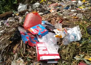 Volume Sampah Plastik Meningkat Tajam Selama Pandemi, Ini Penyebabnya!