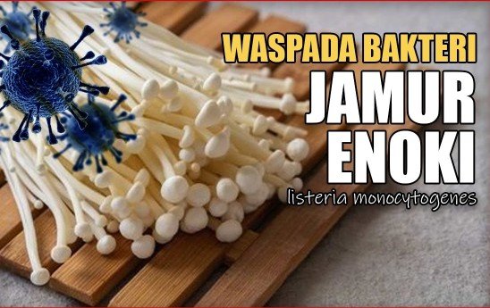 6 Fakta Perihal Bakteri Listeria yang Melekat di Jamur Enoki