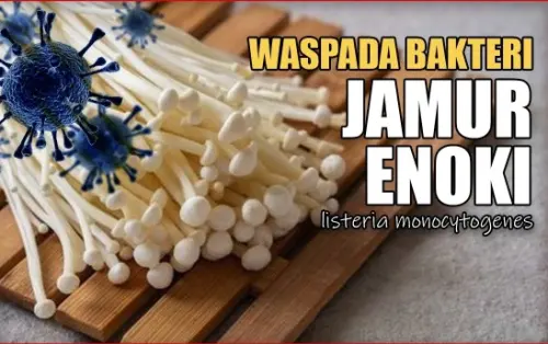6 Fakta Perihal Bakteri Listeria yang Melekat di Jamur Enoki
