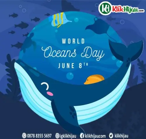 8 Juni Hari Laut Sedunia, Sahabat Pesisir Sulbar Rilis Tukik ke Laut
