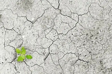 Iklim, Perubahan Iklim dan Isu Relevan Lainnya yang Penting Diketahui