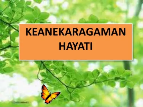 Kolaborasi Dapat Membantu Tingkatkan Keanekaragaman Hayati