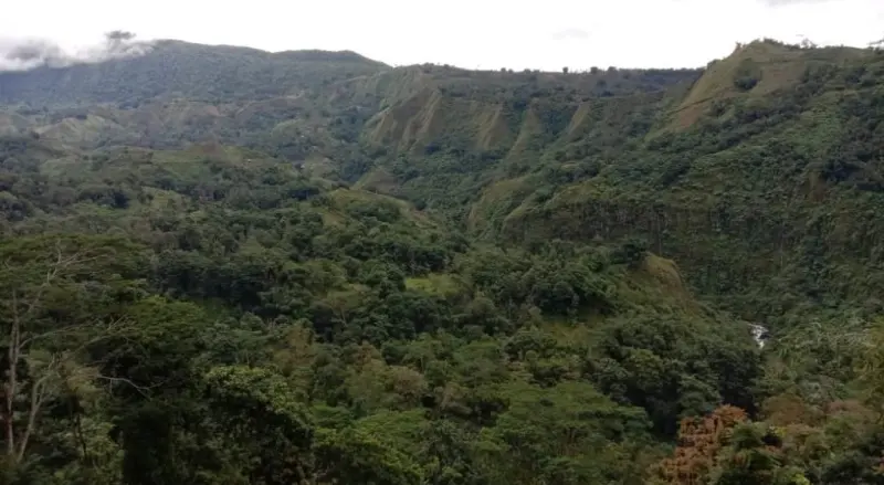 Memetik Sensasi Hijau di Ujung Tabbinna Coko, Kahayya