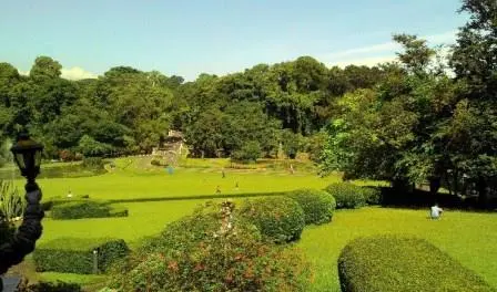 Peran Kebun Raya untuk Konservasi Keanekaragaman Hayati