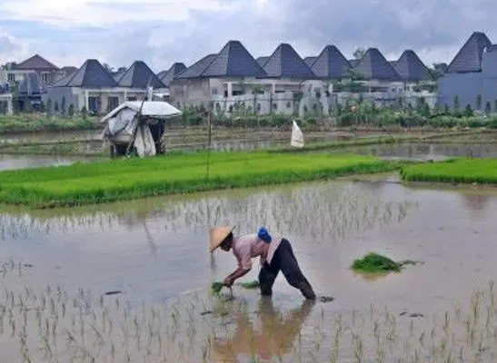 Pertanian Dapat Berkontribusi Positif pada Perubahan dan Mitigasi Iklim