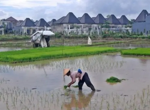 Pertanian Dapat Berkontribusi Positif pada Perubahan dan Mitigasi Iklim