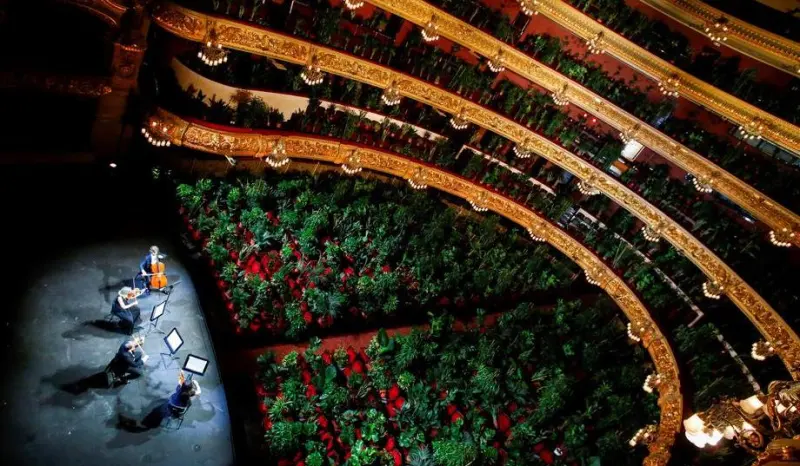 Unik, Tanaman Gantikan Manusia Menonton Konser di Barcelona