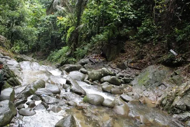 7 Manfaat Utama Sungai bagi Kehidupan sebagai Alasan Menjaganya