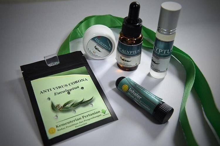 Ada Apa di Balik Proyek Kalung Eucalyptus Kementan dan Klaim Antivirus Corona?