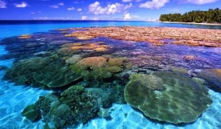Bagaimana Kondisi Ekosistem Pesisir dan Laut Indonesia Saat Ini?