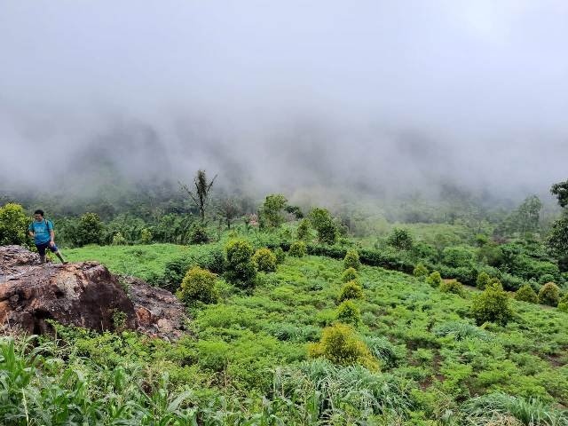 Intip Program UPSA di Gorontalo, Melibatkan Warga dalam Rehabilitasi Hutan dan Lahan