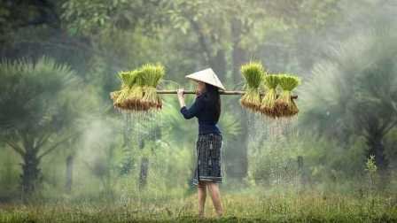 Merangsang Minat Petani Muda yang Masih Mbalelo
