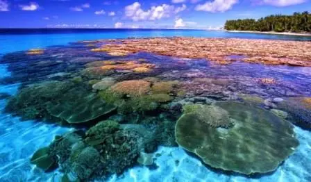 Bagaimana Kondisi Ekosistem Pesisir dan Laut Indonesia Saat Ini?