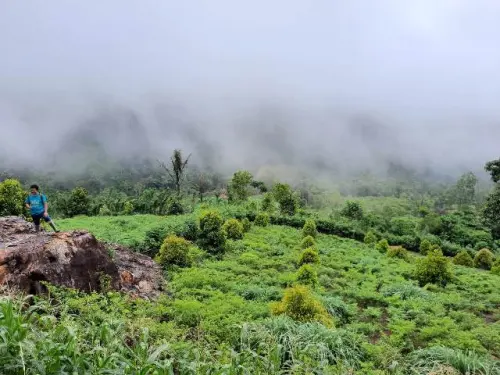 Intip Program UPSA di Gorontalo, Melibatkan Warga dalam Rehabilitasi Hutan dan Lahan
