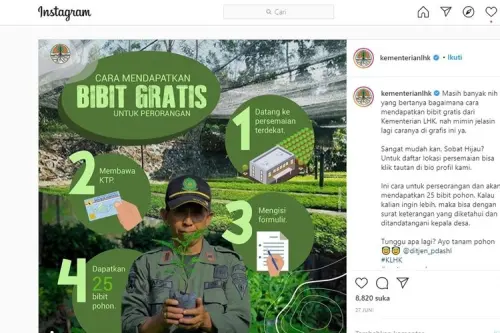 KLHK Sediakan Aneka Bibit Gratis, Ini Cara Mendapatkannya!