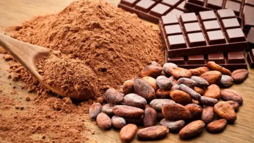 Meresepi Manfaat Olahan Kakao dan Cokelat untuk Kesehatan