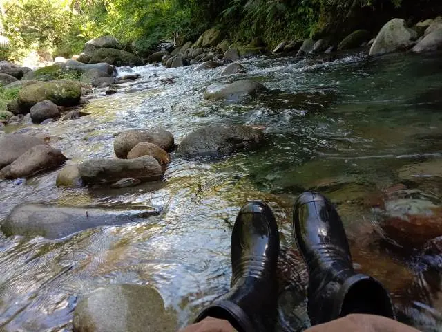 Saatnya Memetik Inspirasi Hidup dari Kata-Kata Mutiara tentang Sungai