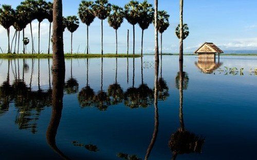 Alih Fungsi Lahan Antar Danau Tempe ke Zona Kritis