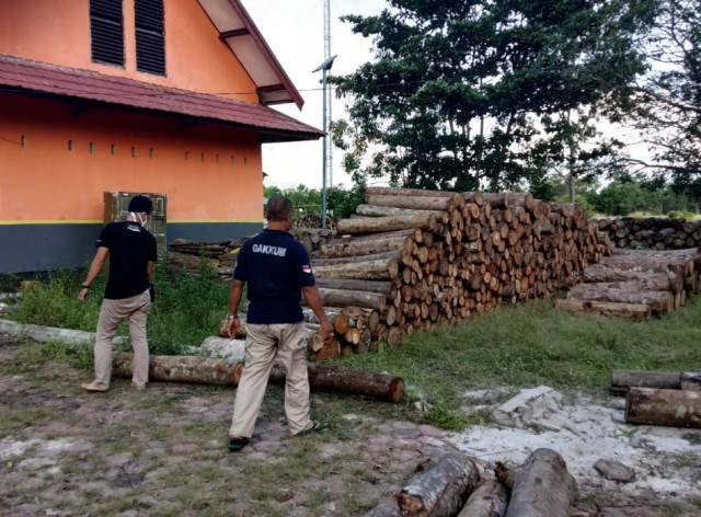 KLHK Tahan Tersangka Peredaran Kayu Ilegal di Kotawaringin Barat