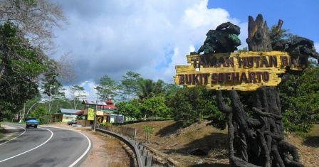 Tahura Bukit Soeharto Dijadikan Lahan Tambang, 2 Lelaki Jadi Tersangka