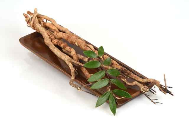 Tak Hanya Tingkatkan Vitalitas Pria, Ini Manfaat Lain Tanaman Pasak Bumi