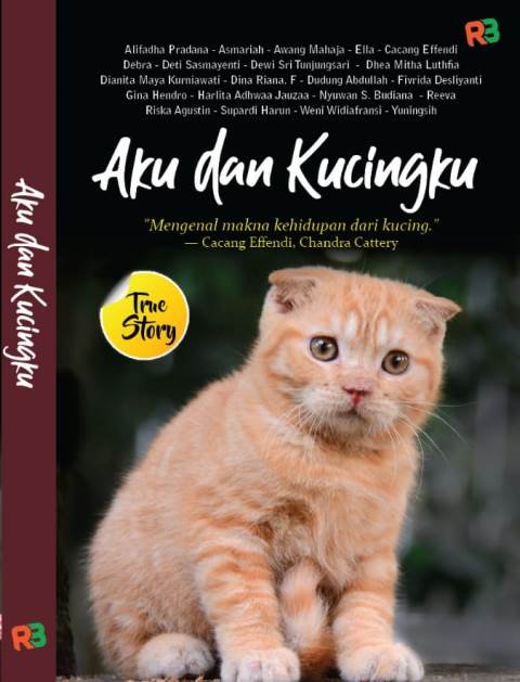 Tentang Cara Merawat dan Menjaga Kucing Kesayangan