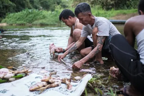 Berkah Kearifan Lokal, Masyarakat Adat Sungai Utik Tangguh Menghadapi Pandemi