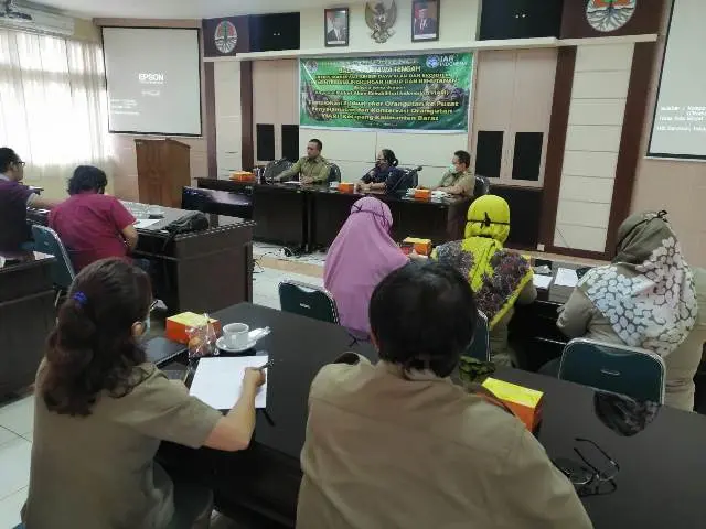 Kabar Baik, Dua Orangutan Jantan Berhasil Diselamatkan di Semarang