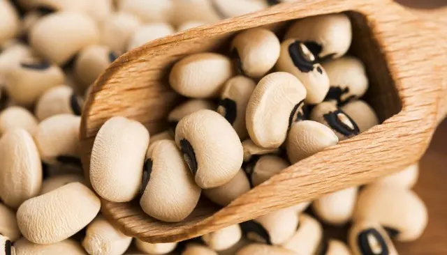 Kacang Tunggak Segudang Manfaat, Cegah Kerusakan Mata hingga Lancarkan Pencernaan