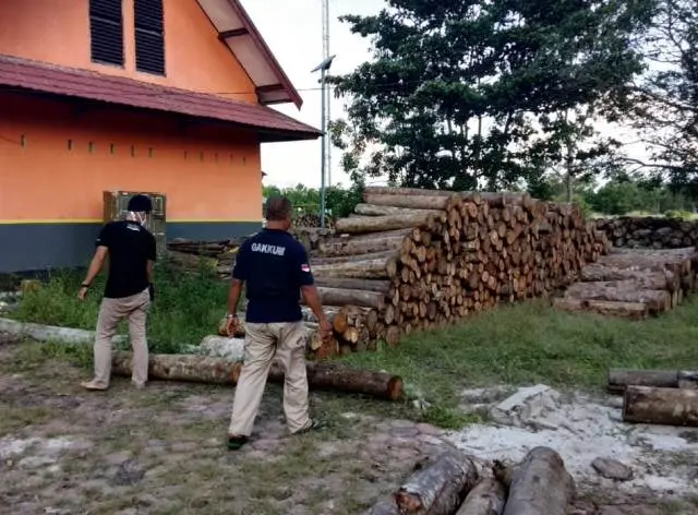 KLHK Tahan Tersangka Peredaran Kayu Ilegal di Kotawaringin Barat