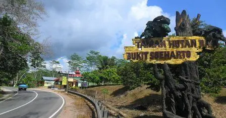Tahura Bukit Soeharto Dijadikan Lahan Tambang, 2 Lelaki Jadi Tersangka