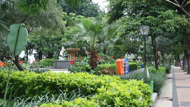 Bagaimana Taman Dapat Membantu Kita Merasa Lebih Baik, Ini Rahasianya