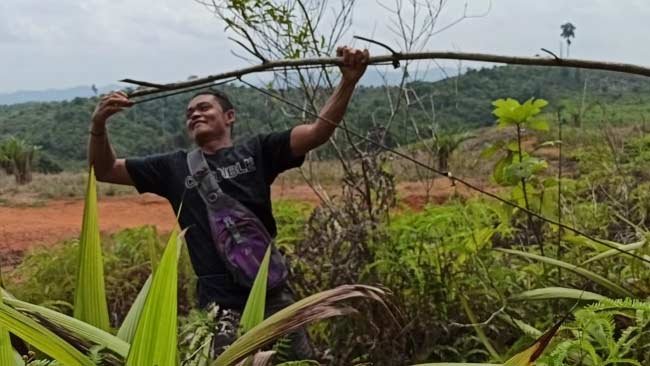 Operasi Penindakan Kejahatan Kehutanan Terus Digiatkan