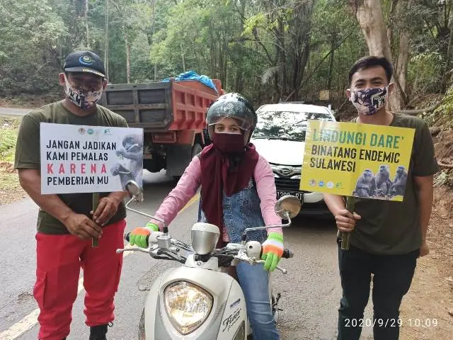 Hidupku Bahagia Tanpa Ibamu, Suatu Alasan Waras untuk Tak Memberi Makan Monyet di Karaenta