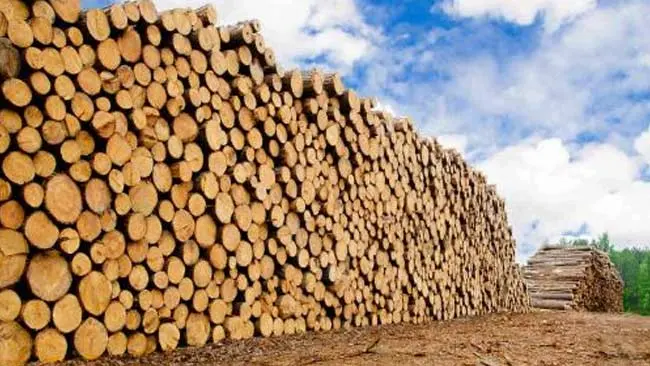 Pasar Luar Negeri Semakin Percaya Produk Kayu Indonesia