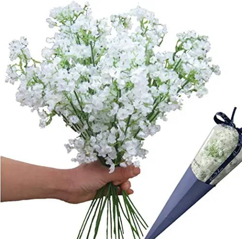 Begini Arti dan Filosofi di Balik Bunga Baby Breath!