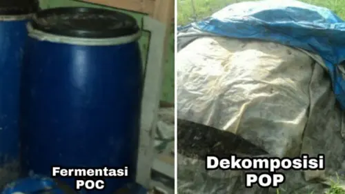 Dekomposisi dan Fermentasi, Cara Ramah Kembalikan Unsur Hara Tanah