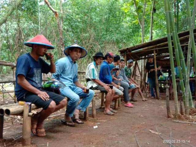 Kembalinya Ingatan pada Sensasi Tanaman Obat dan Kenangan Kampung