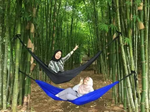 Kembali ke Desa, Bukanlah Efek Disrupsi Semata
