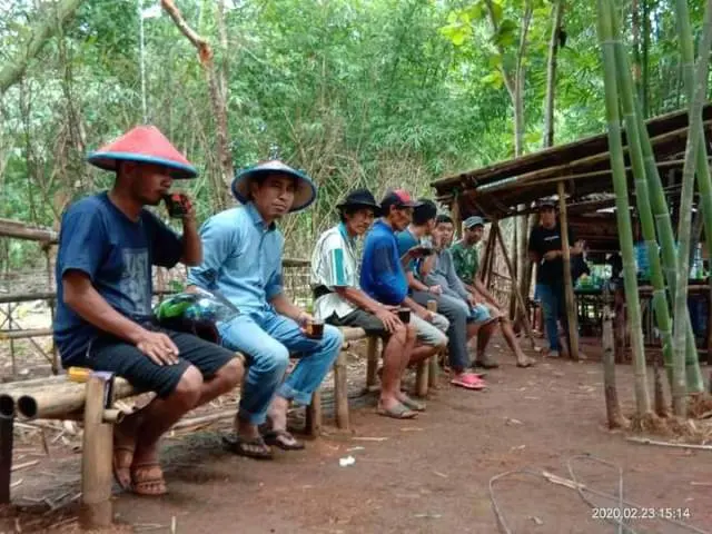 Kembalinya Ingatan pada Sensasi Tanaman Obat dan Kenangan Kampung