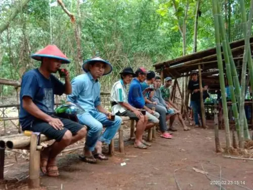 Kembalinya Ingatan pada Sensasi Tanaman Obat dan Kenangan Kampung
